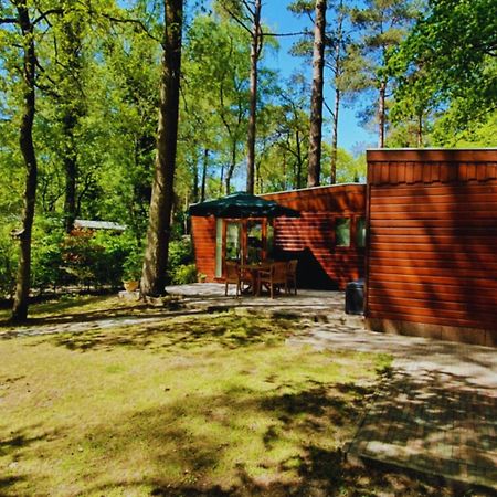 Wooden Nature Chalet - Dennenrhode Doornspijk Villa Luaran gambar