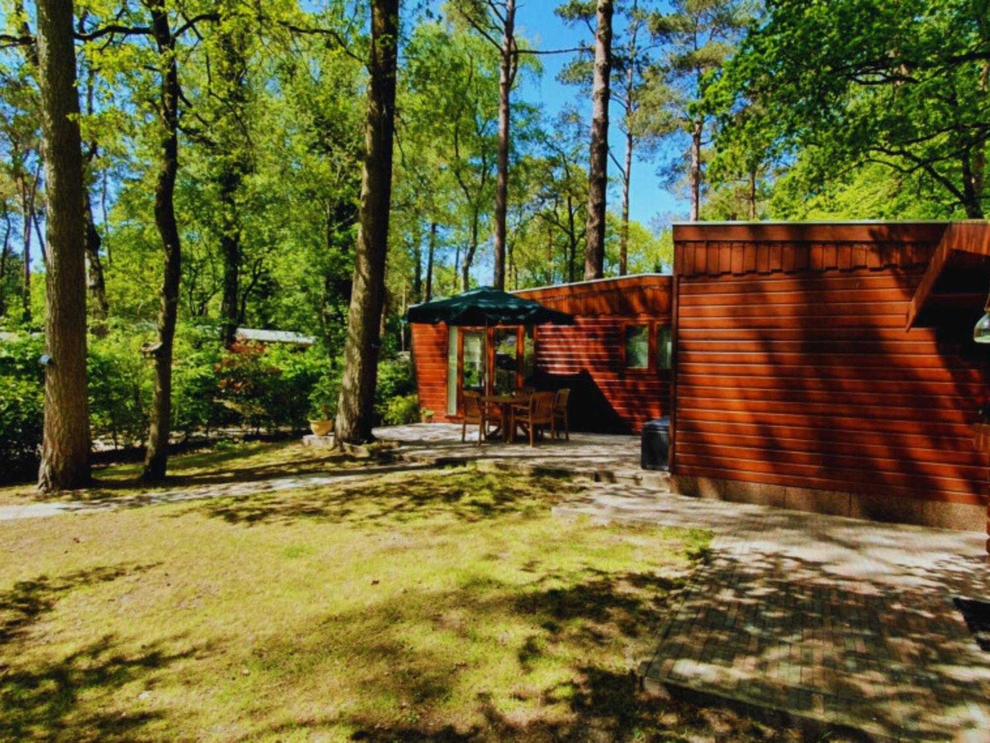 Wooden Nature Chalet - Dennenrhode Doornspijk Villa Luaran gambar